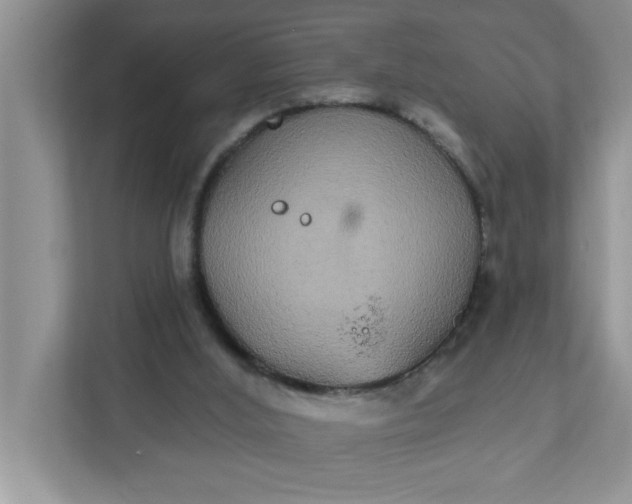 X0000111830012200908061205