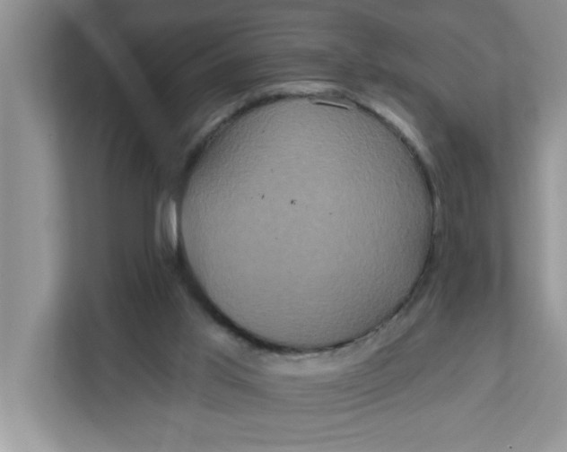 X0000111830013200908061205