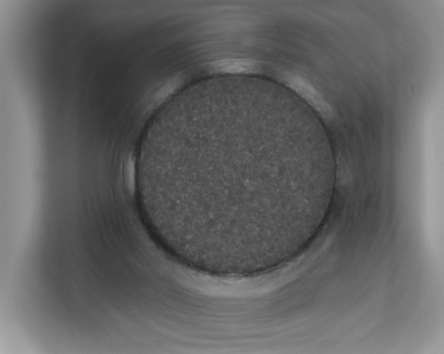 X0000111830014200908061205