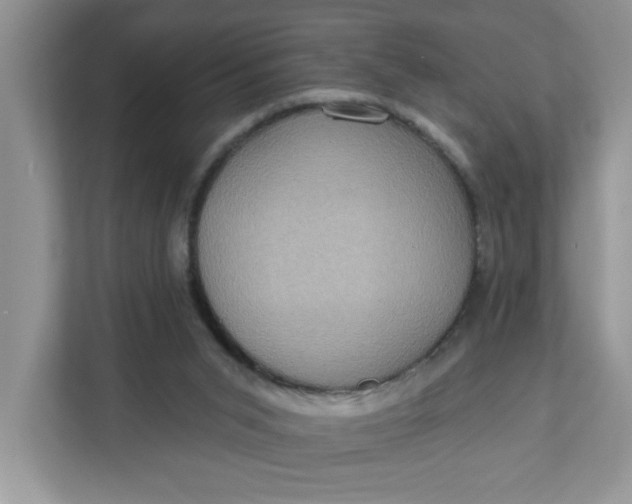 X0000111830015200908061205