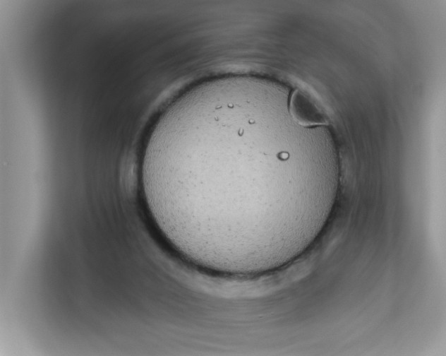 X0000111830016200908061205