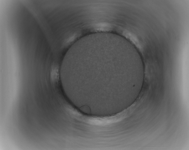 X0000111830017200908061205