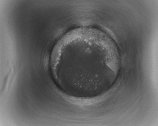 X0000111830018200908061205