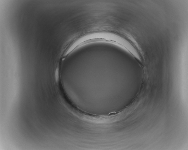 X0000111830019200908061205