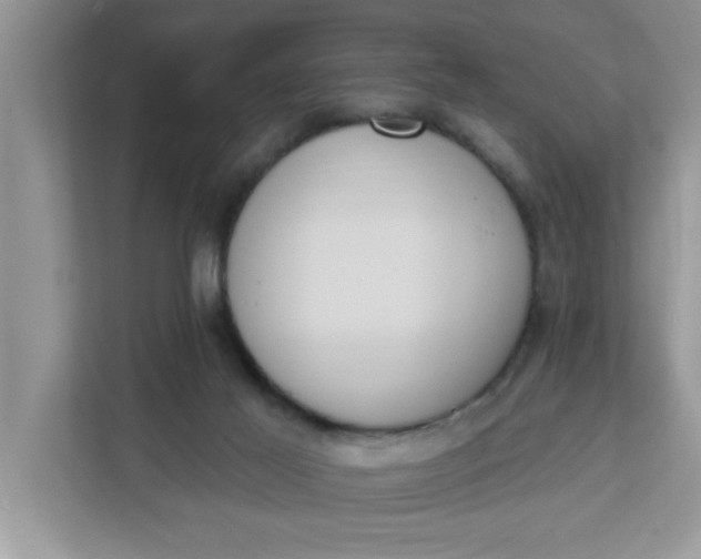 X0000111830021200908061205