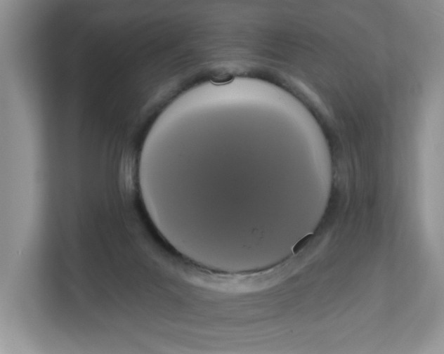 X0000111830023200908061205