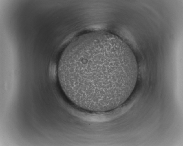 X0000111830024200908061205