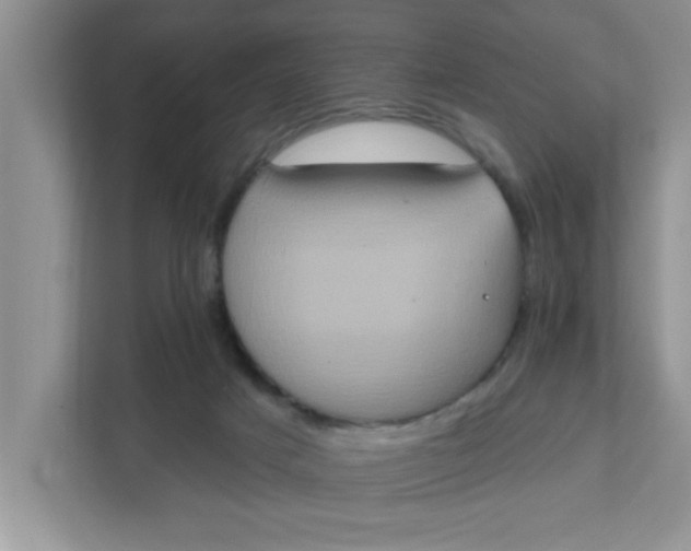 X0000111830025200908061205