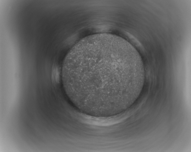 X0000111830026200908061205