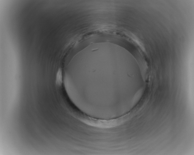 X0000111830027200908061205