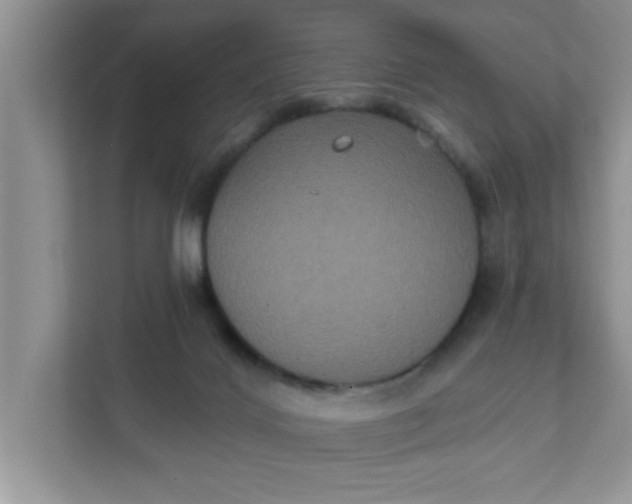 X0000111830028200908061205