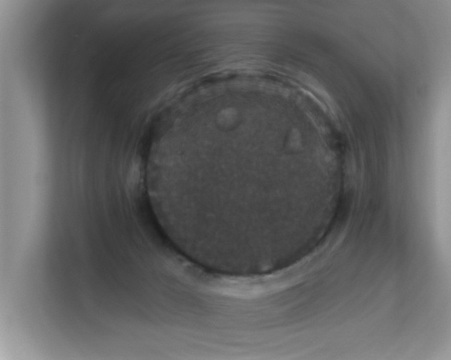 X0000111830029200908061205