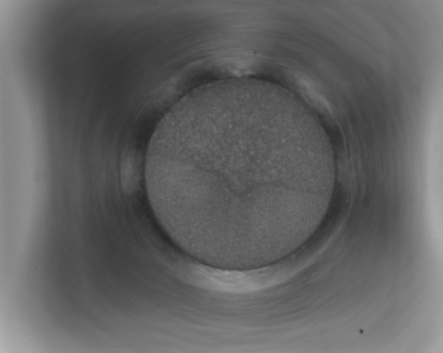 X0000111830030200908061205