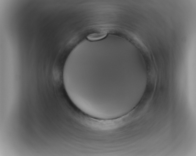 X0000111830031200908061205