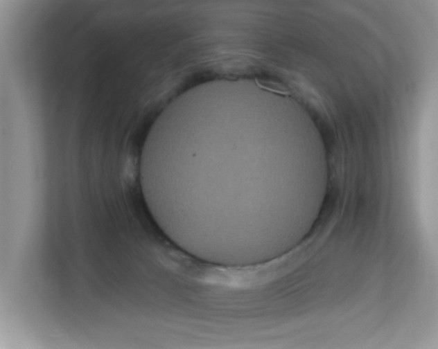 X0000111830033200908061205