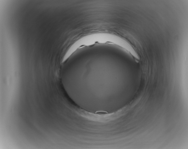 X0000111830035200908061205