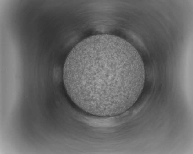 X0000111830036200908061205