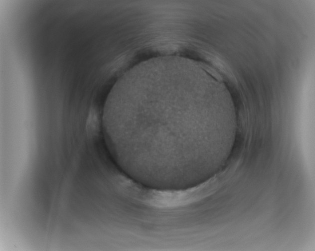 X0000111830037200908061205