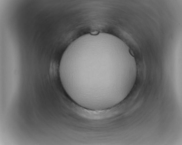 X0000111830038200908061205