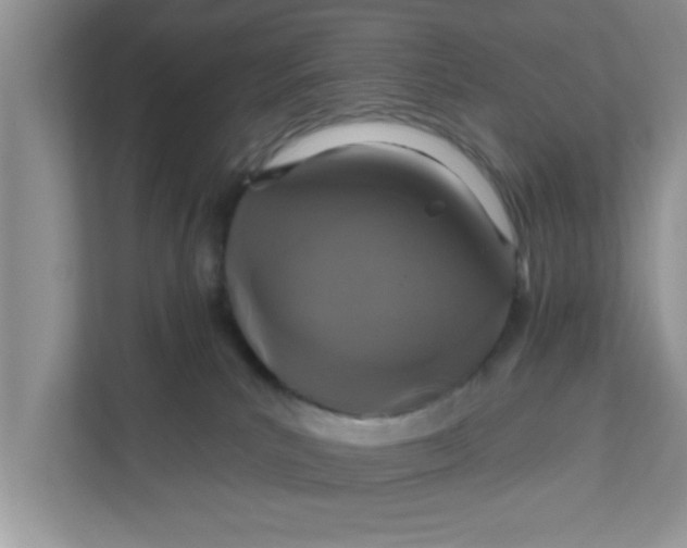 X0000111830039200908061205