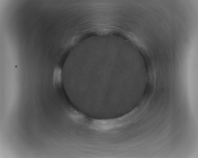 X0000111830041200908061204