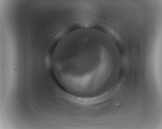 X0000111830043200908061204