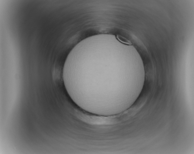 X0000111830044200908061204