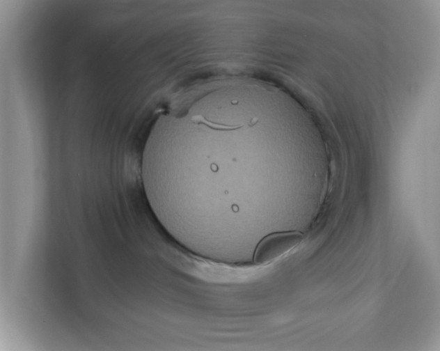 X0000111830048200908061204