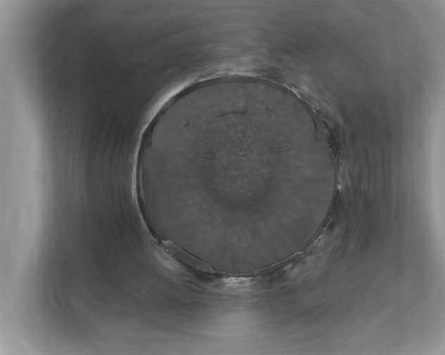 X0000111830052200908061204