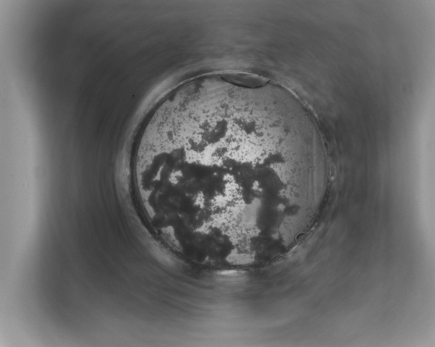 X0000111830053200908061204