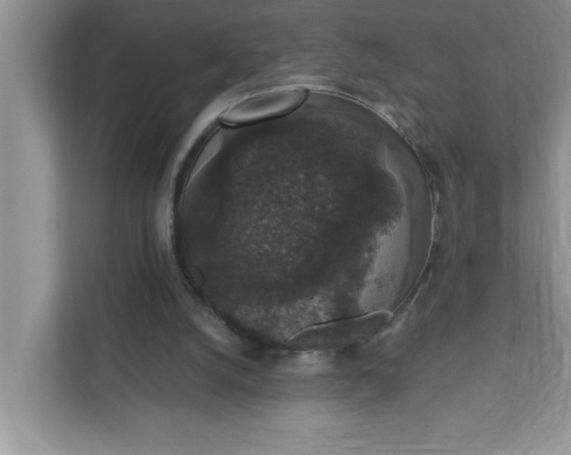 X0000111830056200908061204