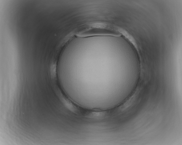 X0000111830057200908061204