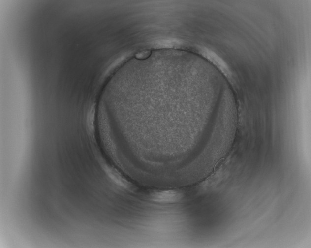 X0000111830058200908061204