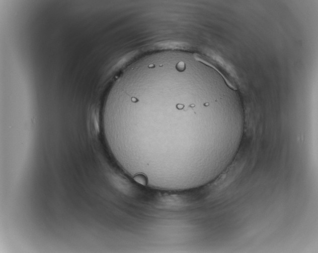 X0000111830062200908061204