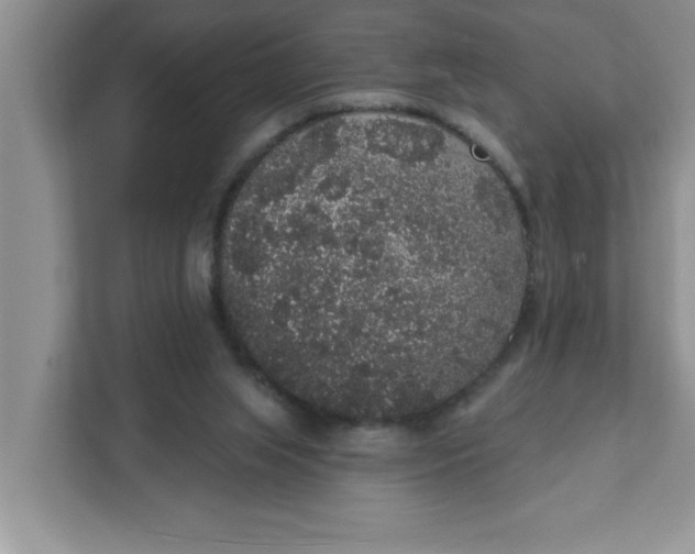 X0000111830063200908061204