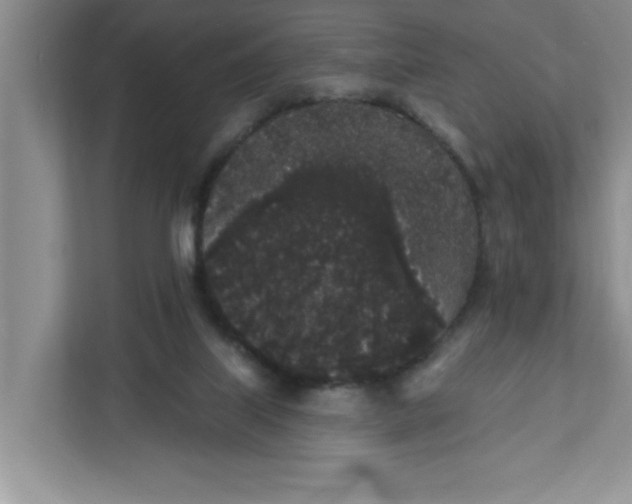 X0000111830067200908061204