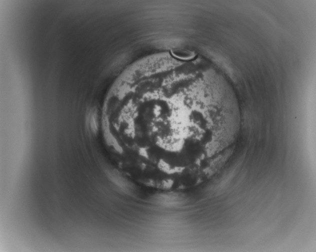 X0000111830069200908061204