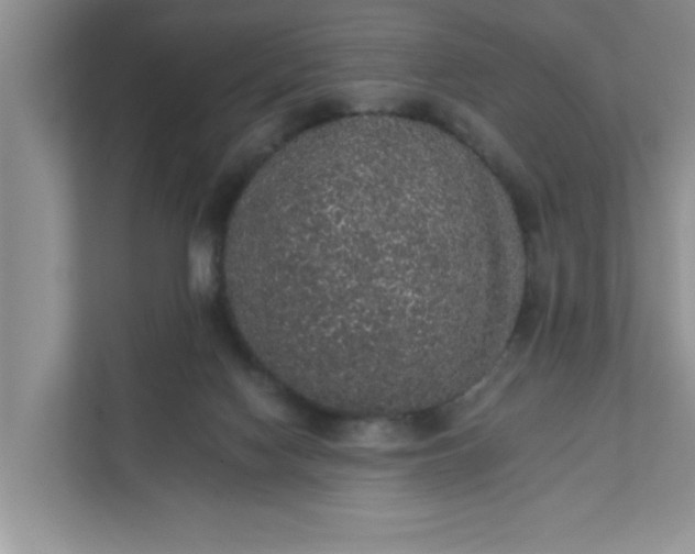 X0000111830074200908061204