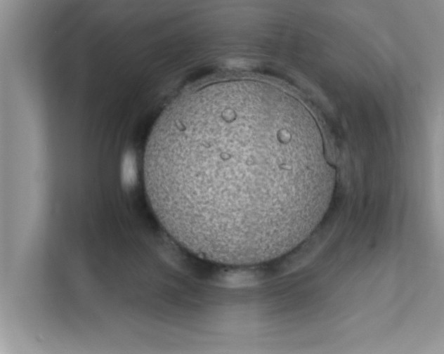 X0000111830075200908061204