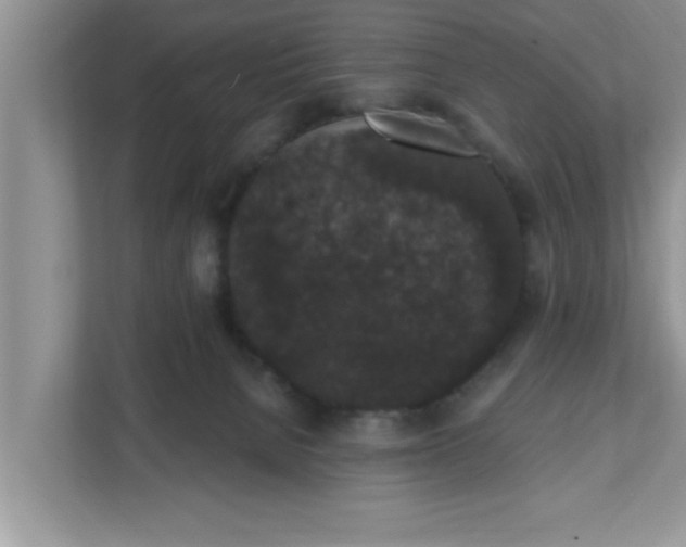 X0000111830080200908061204