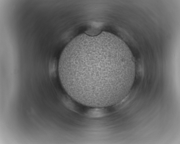 X0000111830082200908061204