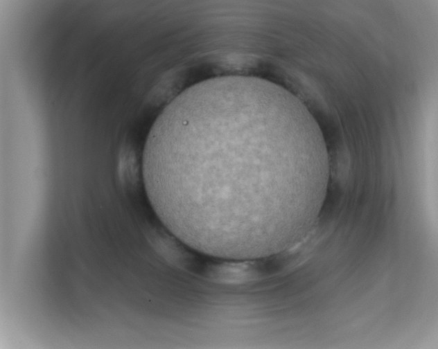 X0000111830086200908061204