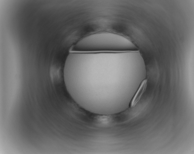 X0000111830088200908061204