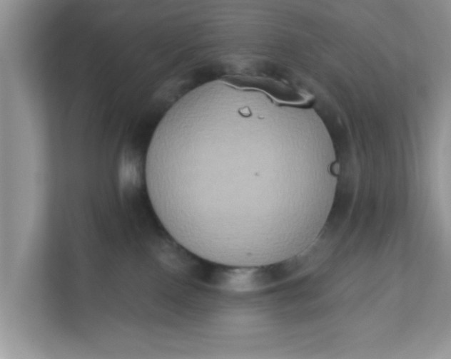 X0000111830090200908061204