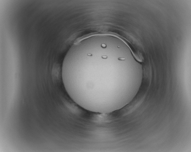 X0000111830092200908061204