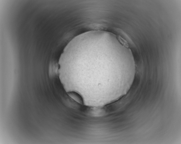 X0000111830095200908061204