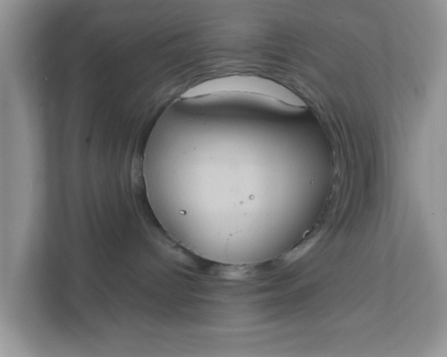 X0000111830096200908061204