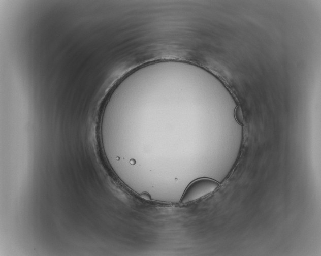 X0000111830098200908061204