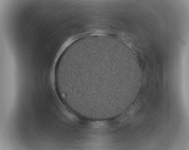 X0000111830102200908061204