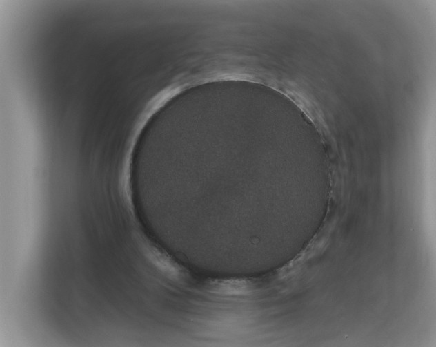 X0000111830104200908061204